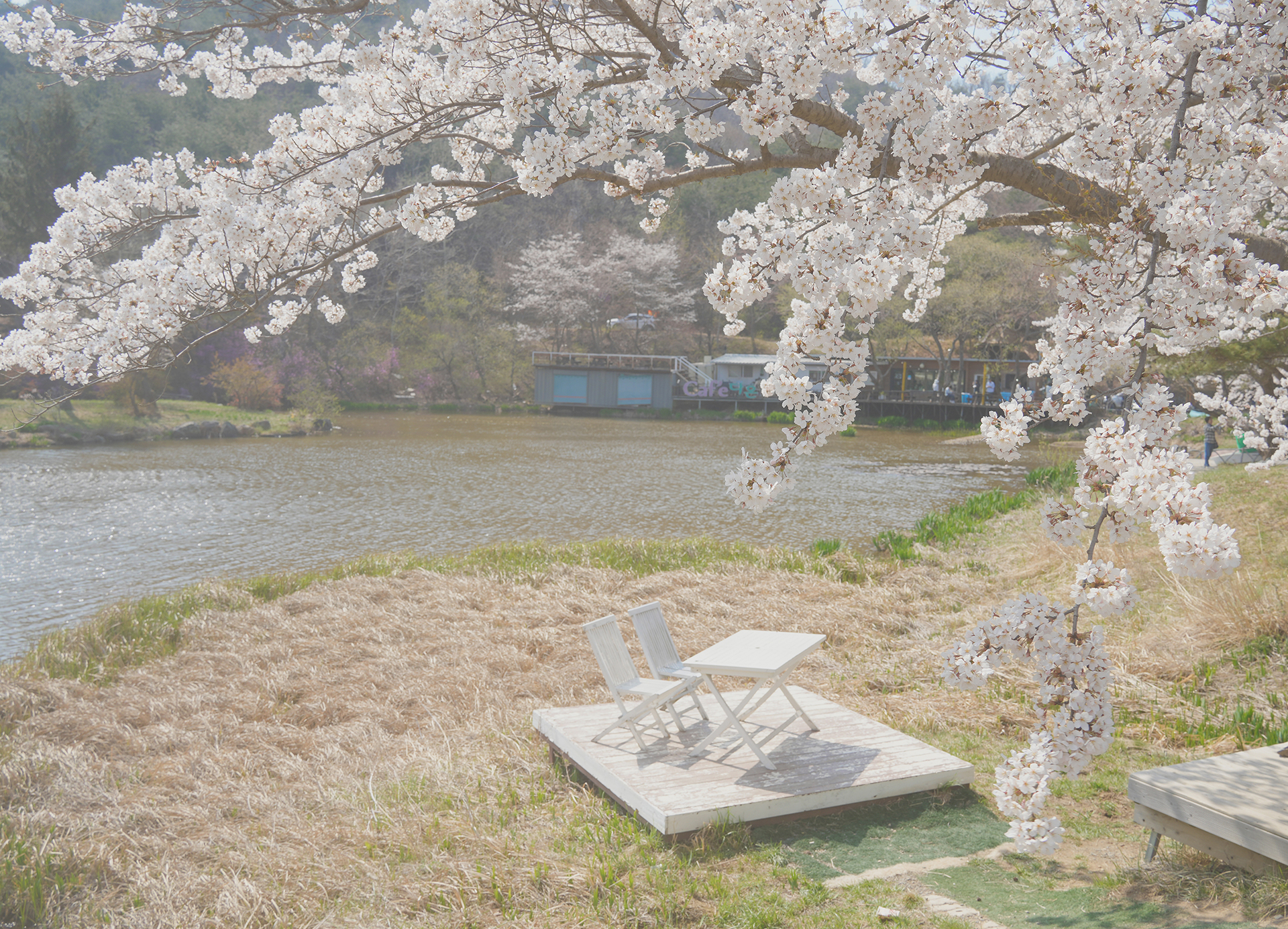 화랑의 언덕