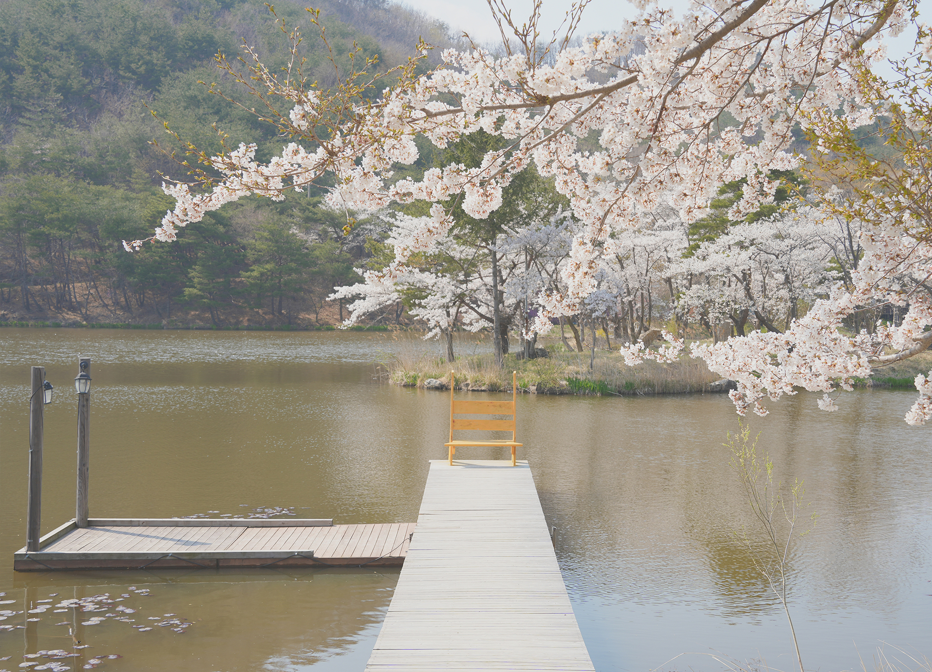 화랑의 언덕
