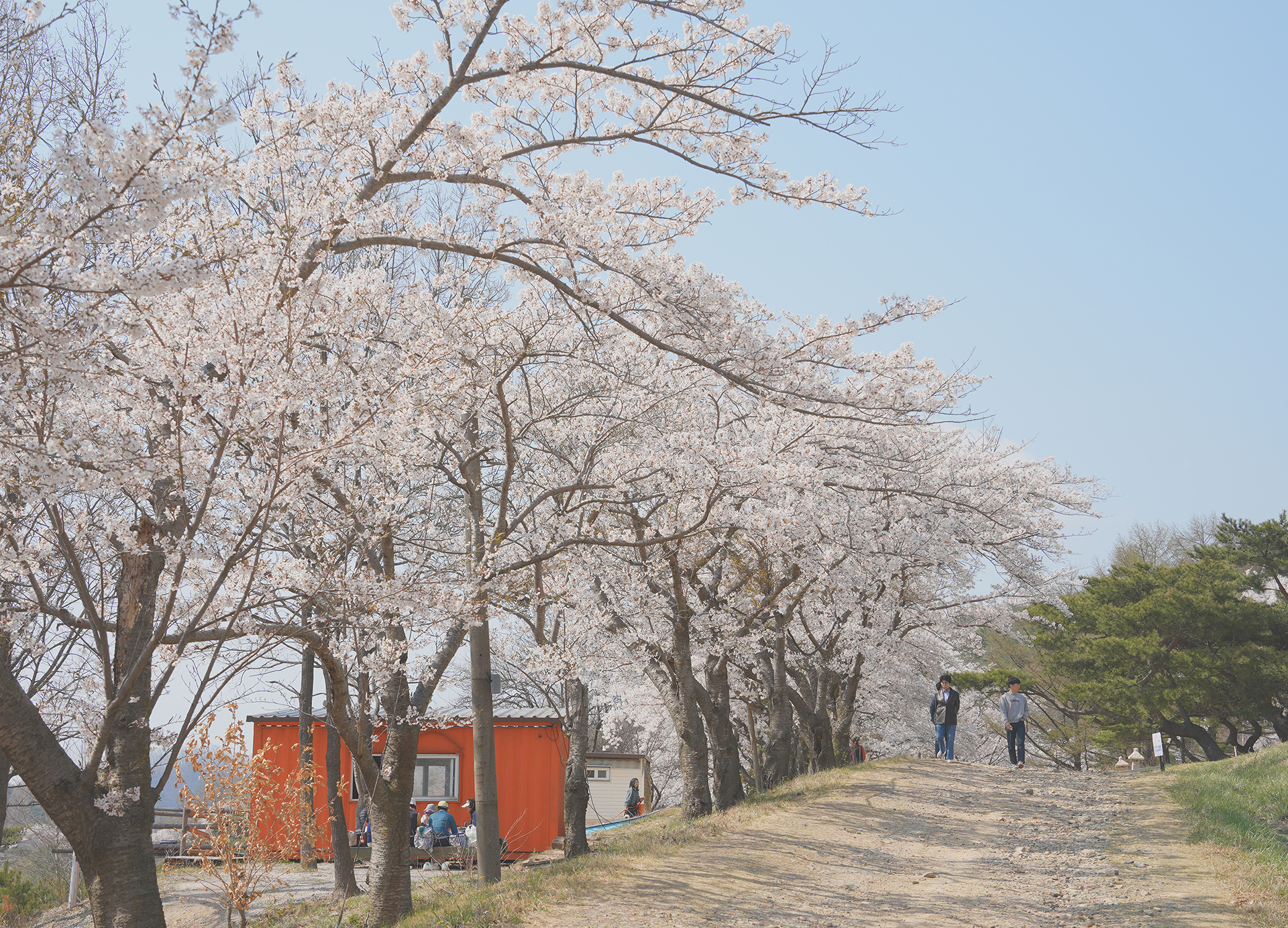 화랑의 언덕