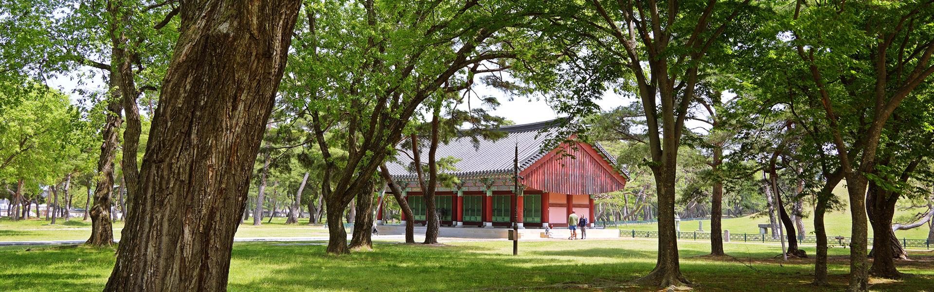 경주 오릉