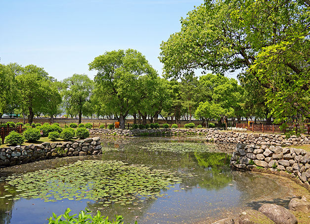경주 오릉의 봄날