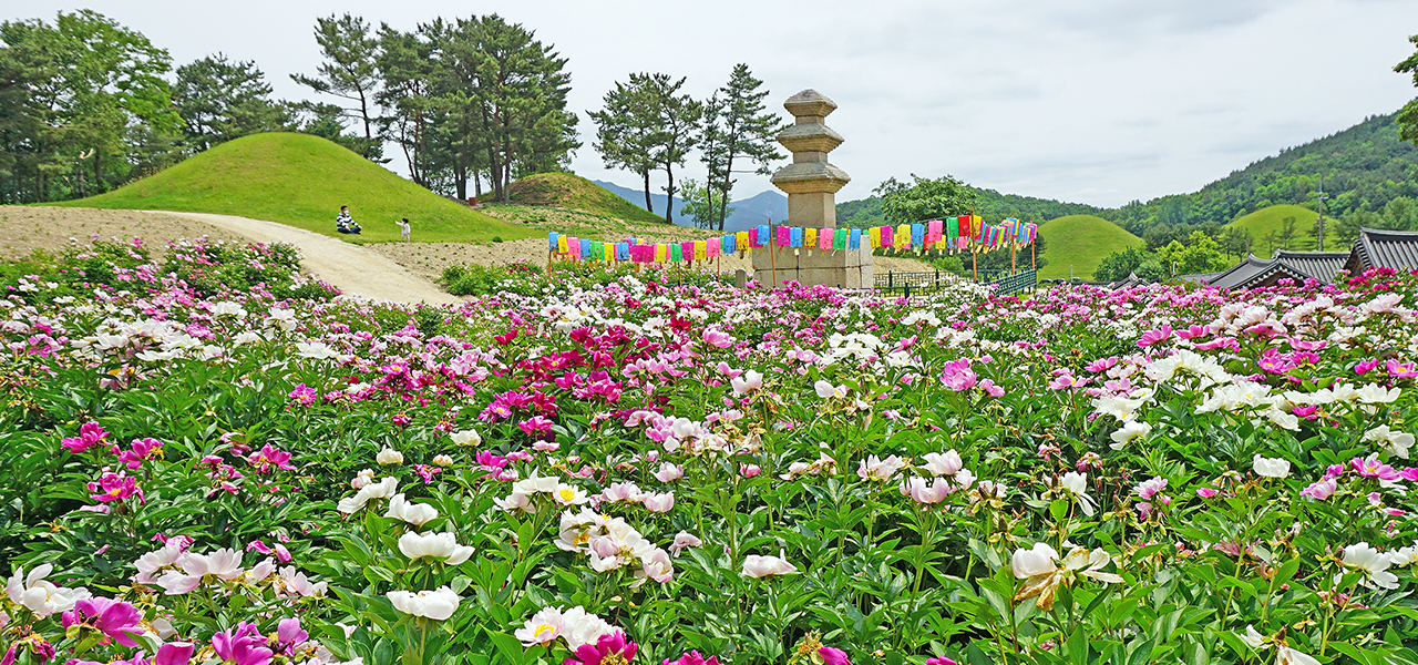 서악동 삼층석탑 작약