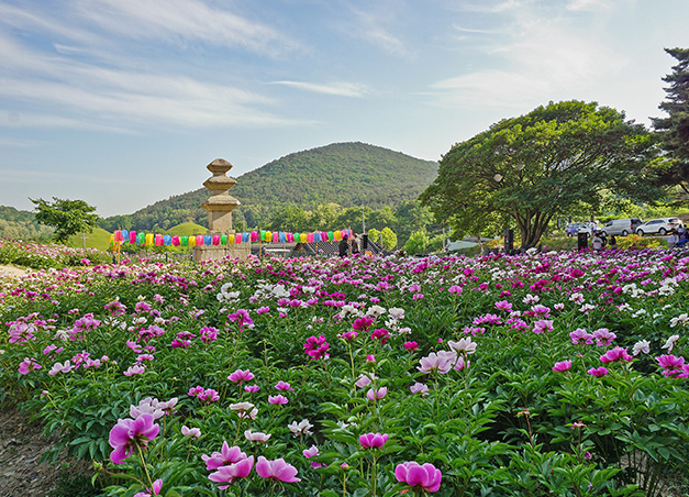 서악동 삼층석탑 작약