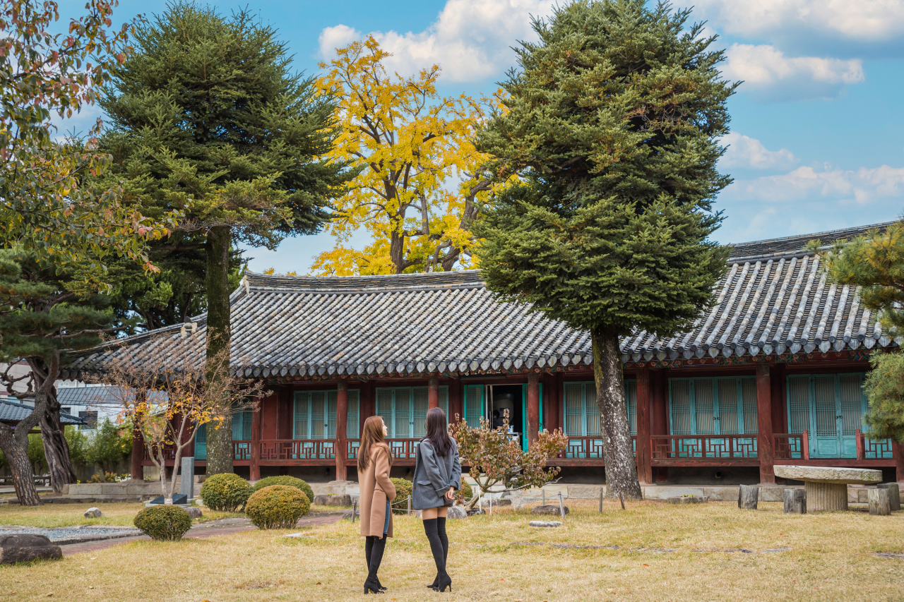 동부동 은행나무