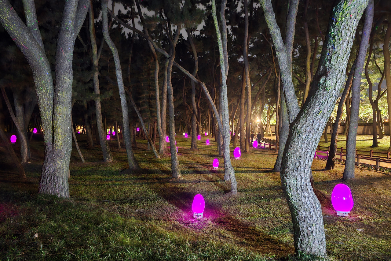 대릉원 미디어아트