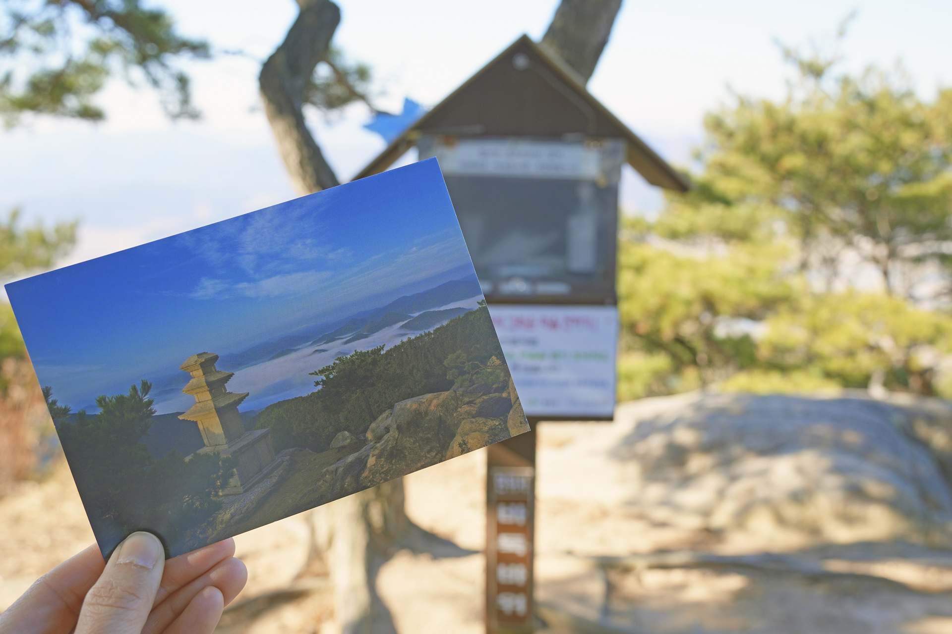 바둑바위 느린 엽서함 