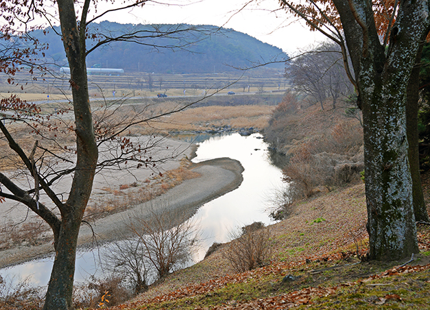 경주 월성 탐방로