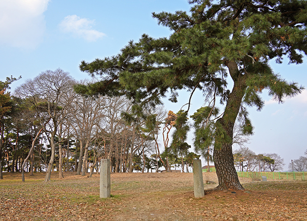 경주 월성 탐방로