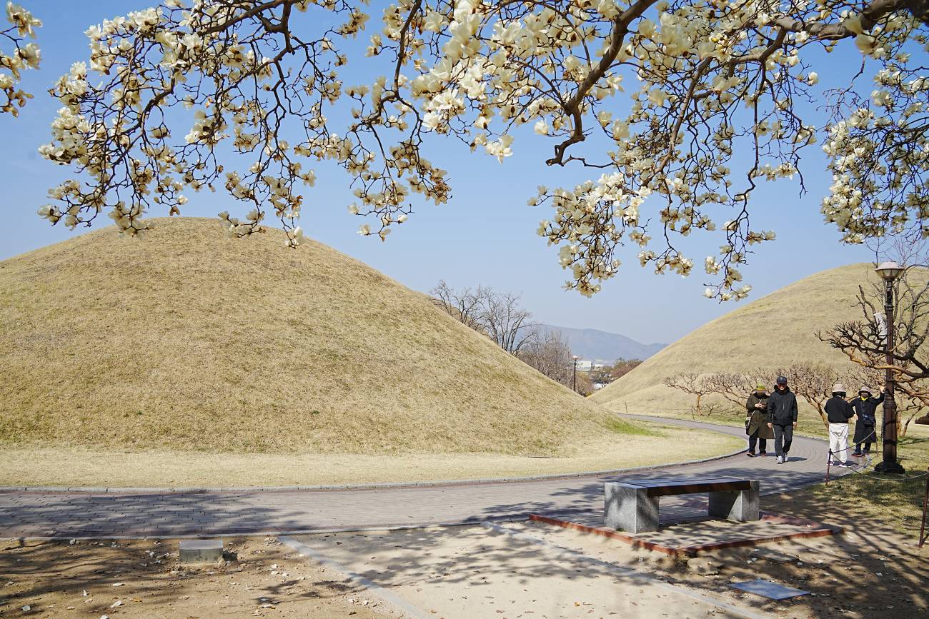 대릉원의 봄