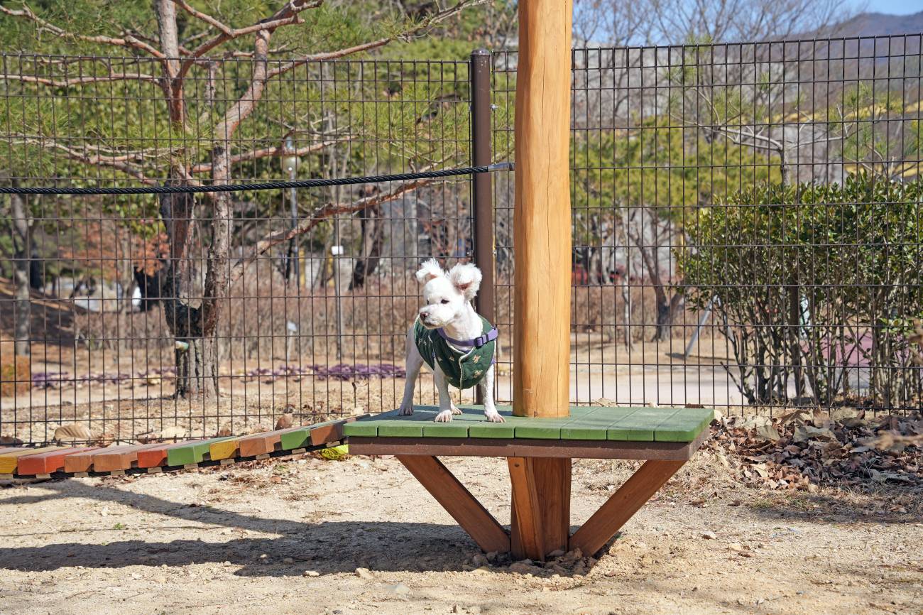 엑스포 펫피아