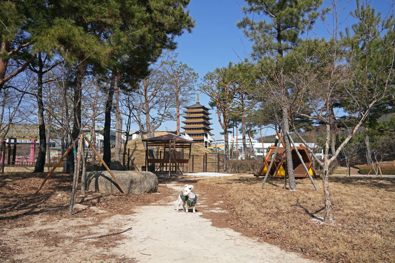 엑스포 펫피아