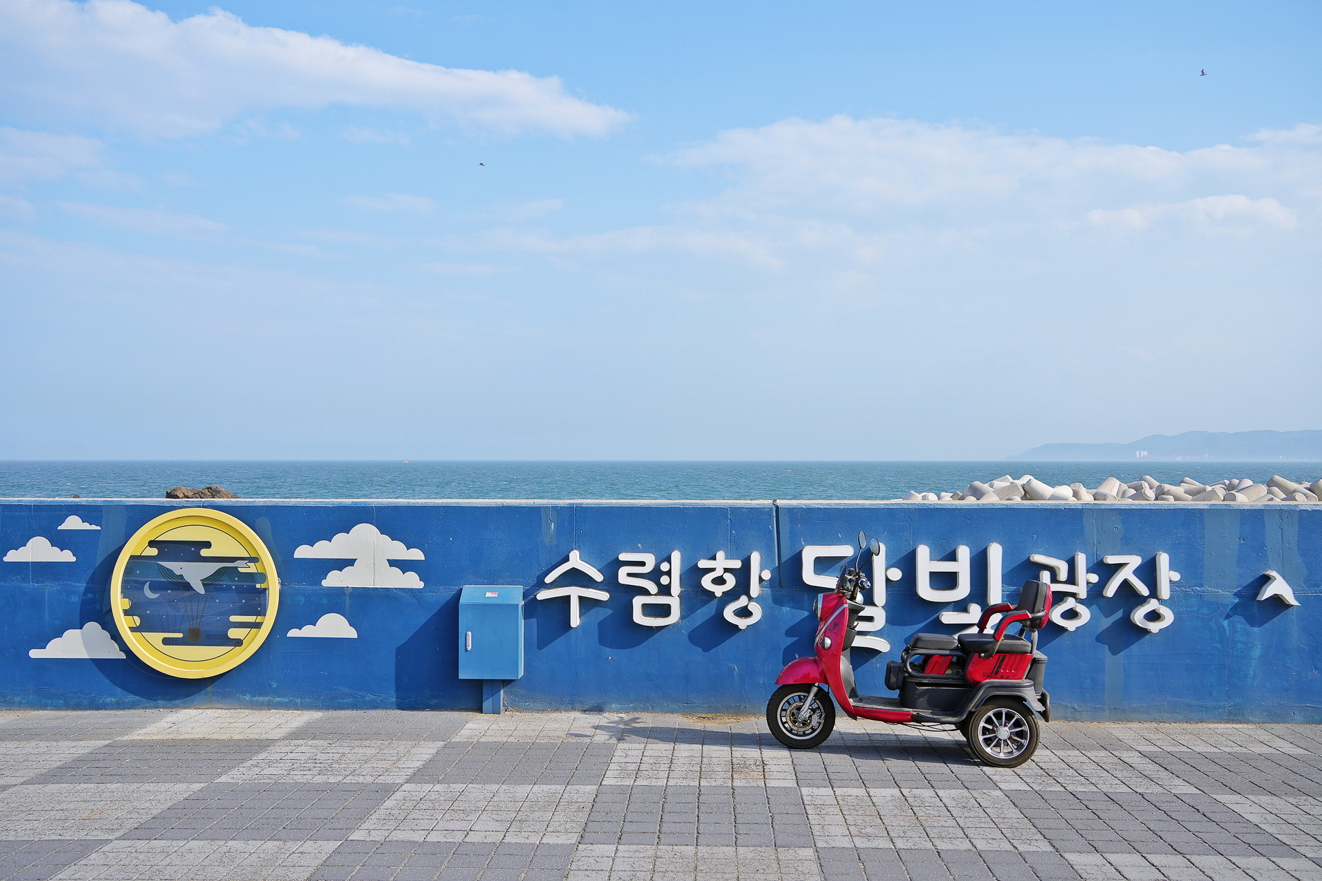 달빛 광장의 낮과 밤