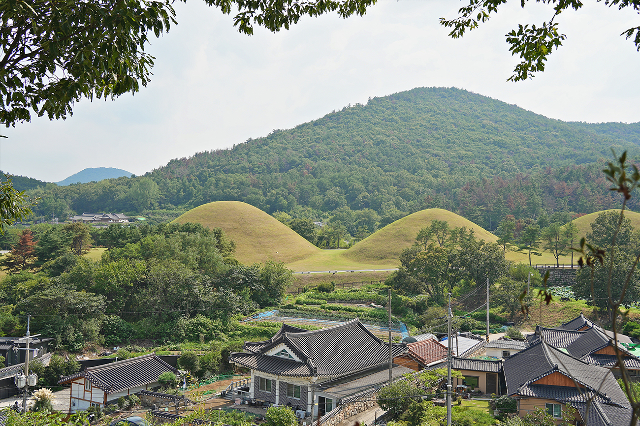 서악동 고분군 전경