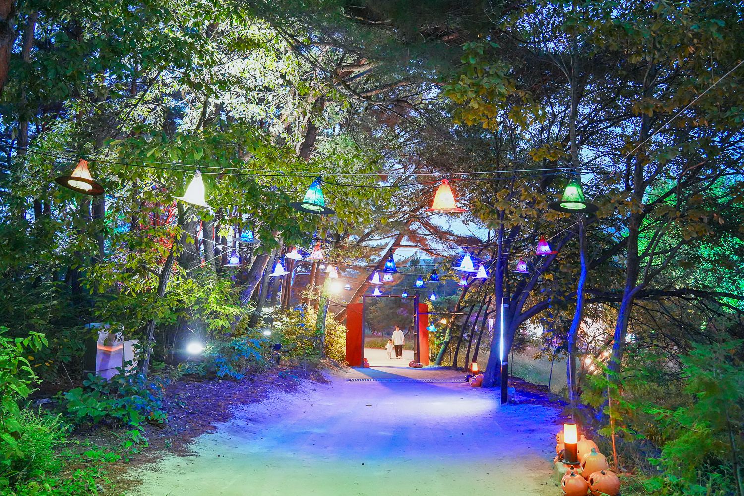 엑스포 펌킨 나잇