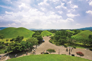 대릉원 항공사진