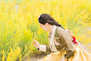 한복을 입은 여성이 유채꽃밭에서 꽃을 바라보는 모습