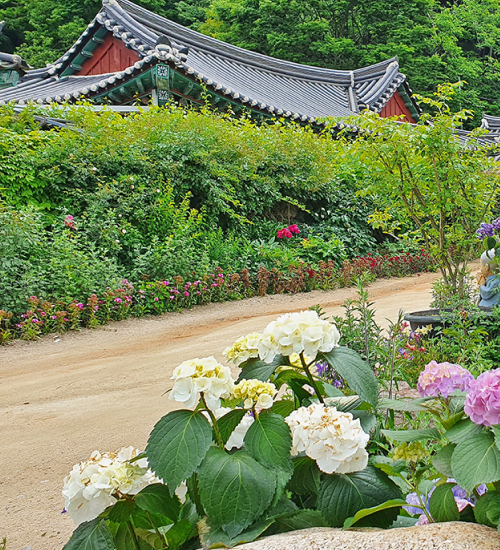 경주,여름의 문턱에서