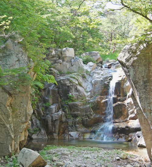 경주, 푸름에 머물다
