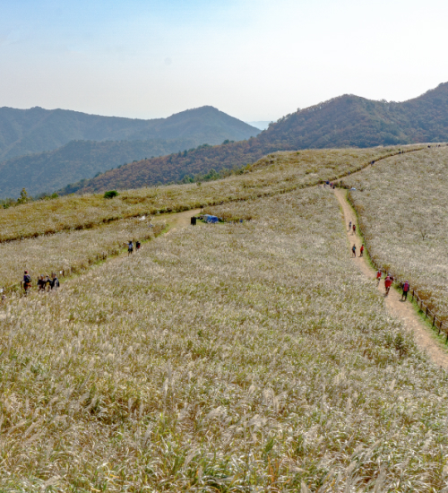 경주, 가을 환상곡