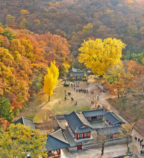 경주, 사이의 계절