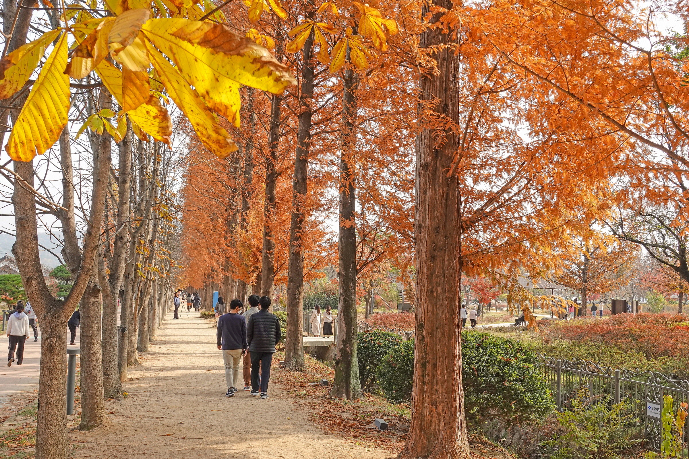 1. 경북산림환경연구원.jpg