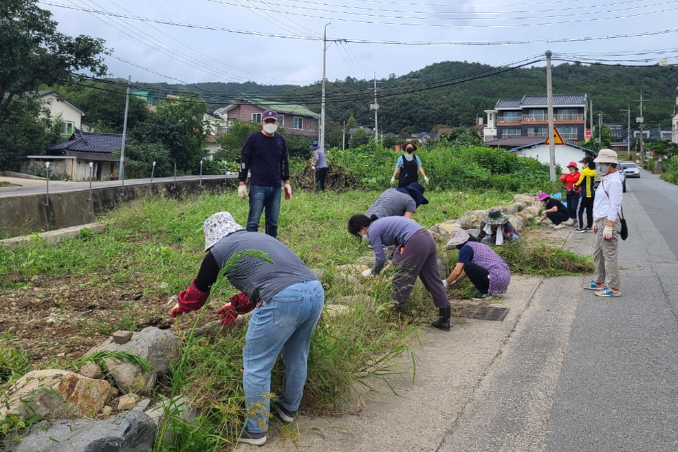 보덕동 펜션연합회에서 해바라기 꽃밭 잡초 제거를 하는 모습과 함께 사진촬영을 하는 모습