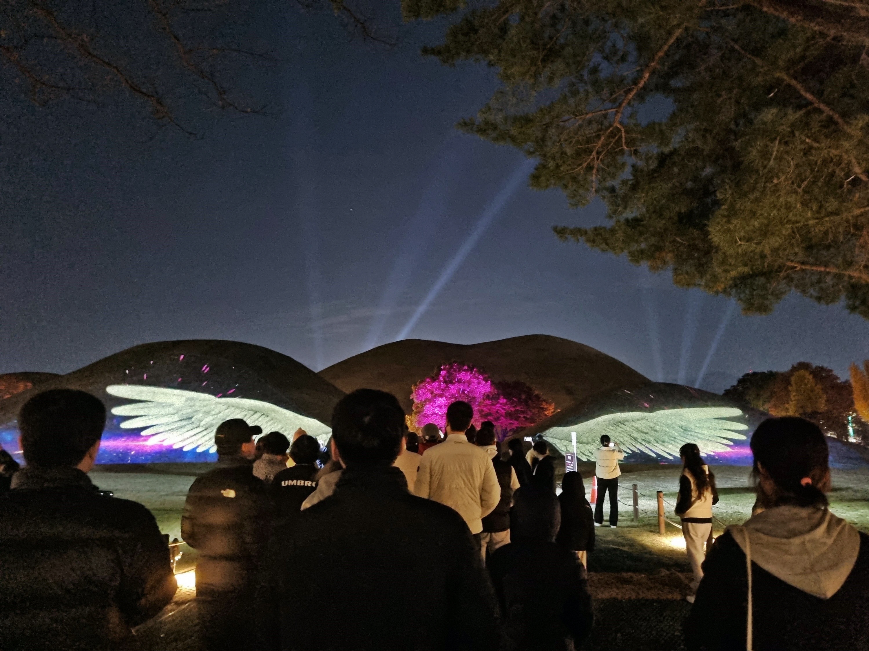 대릉원 일원에서 열린 ‘2025 국가유산 미디어아트 경주 대릉원’ 행사에서 관람객들이 고분에 투사된 미디어아트 영상을 감상하고 있다.