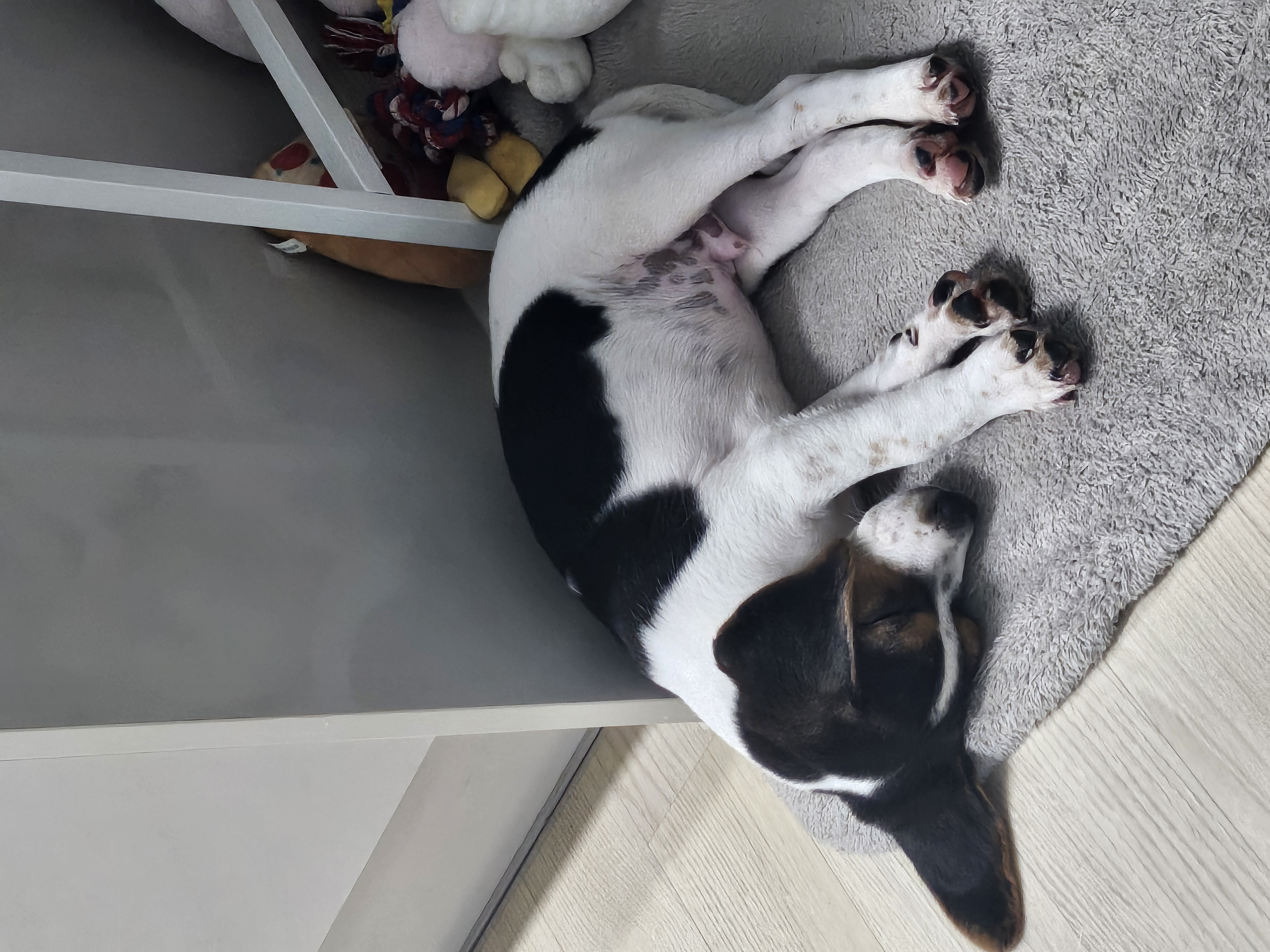 KakaoTalk_20250827_083813590_04.jpg