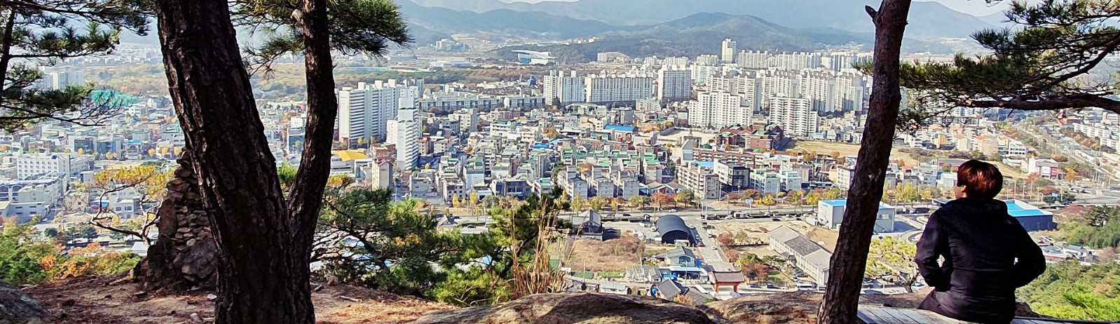 백률사