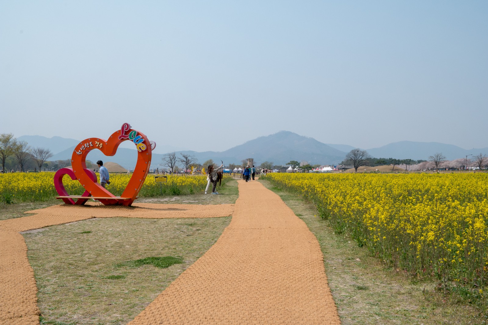 첨성대(2019년 봄)