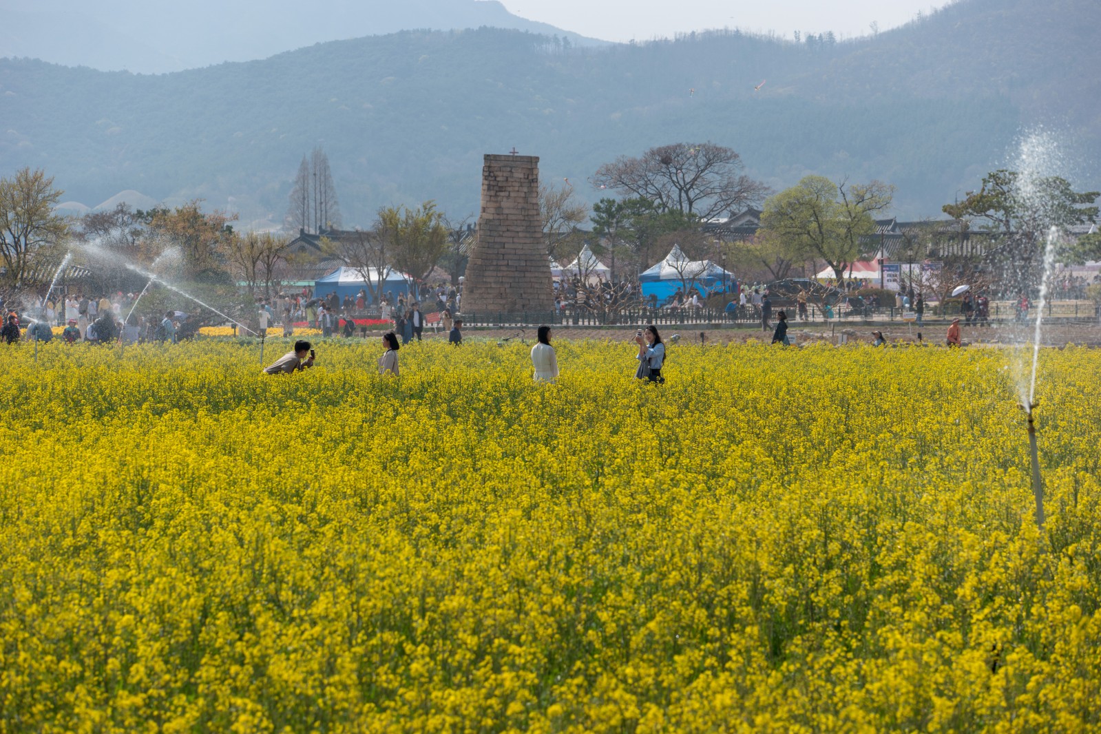 첨성대(2019년 봄)