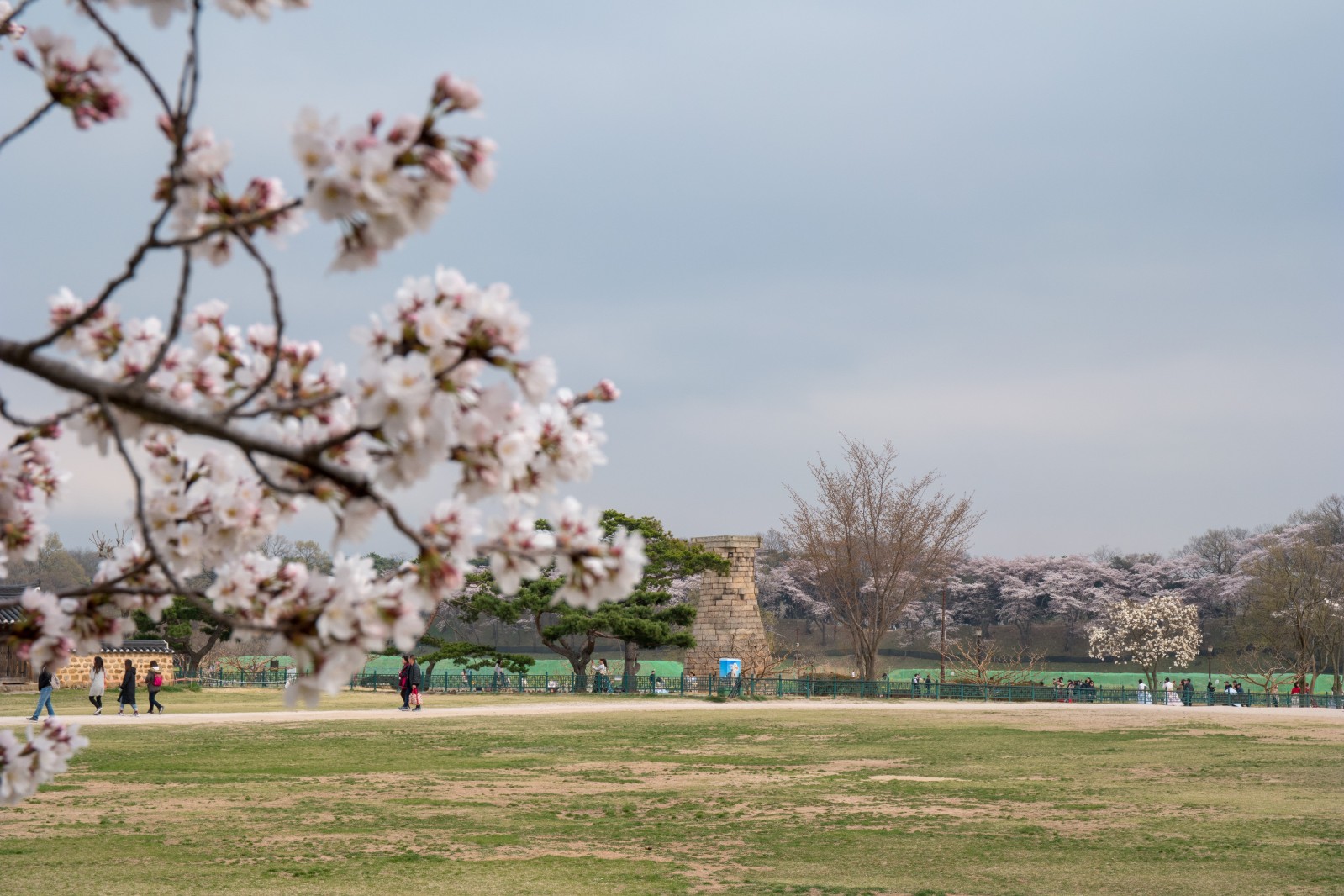 첨성대(2019년 봄)