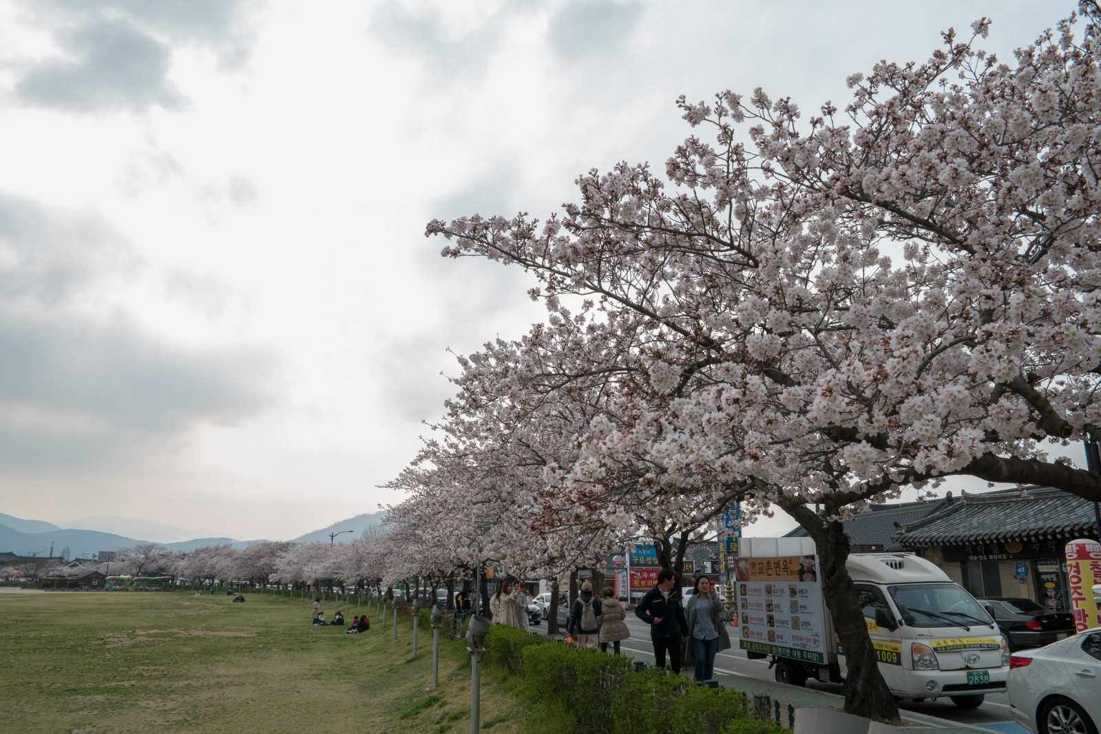 첨성대(2019년 봄)