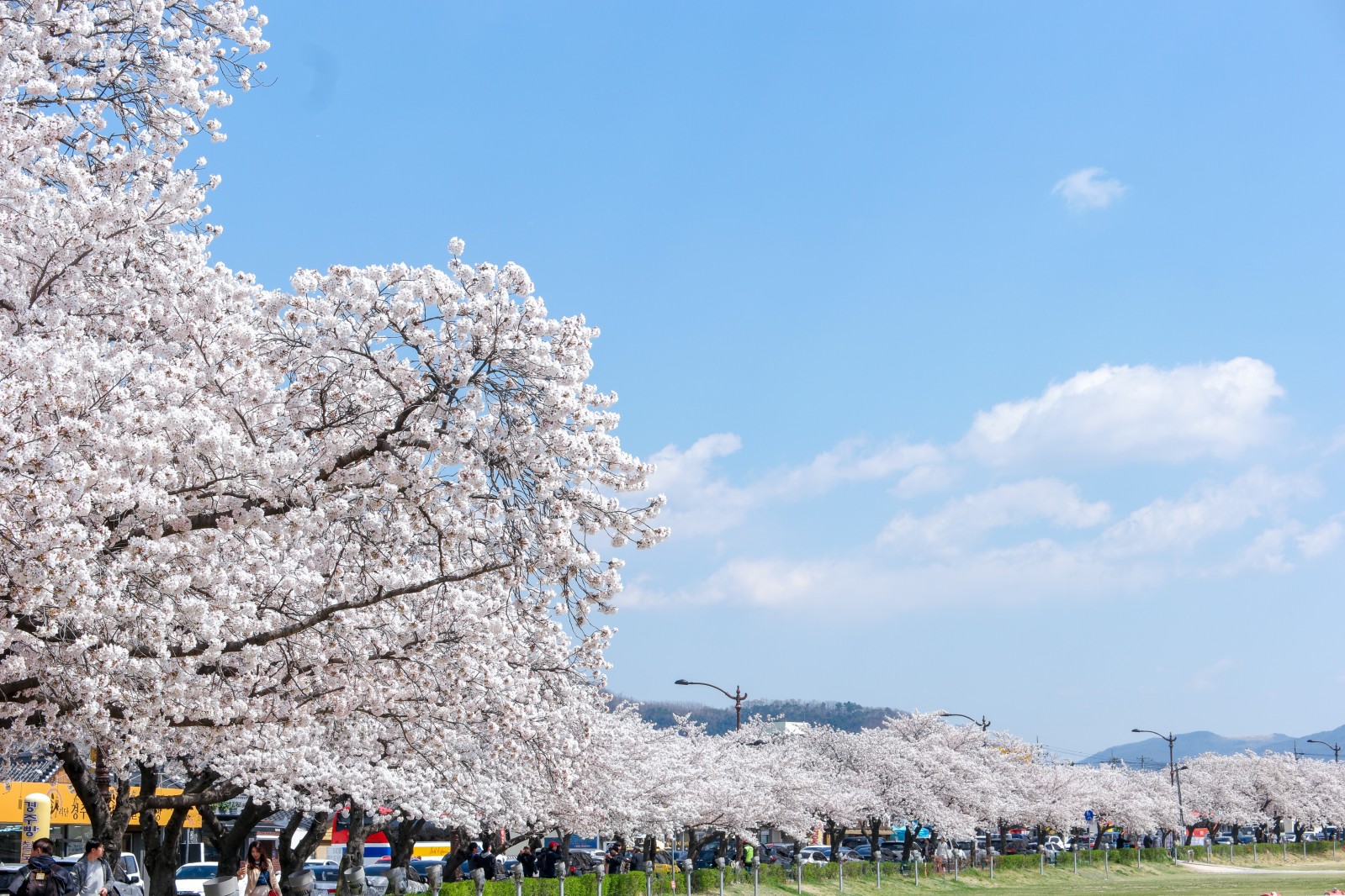 첨성대(2019년 봄)