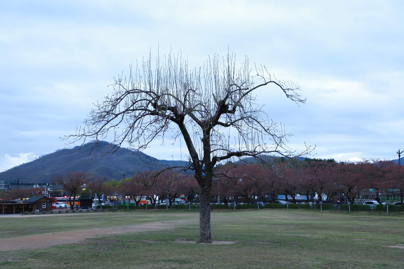 첨성대(2019년 봄)