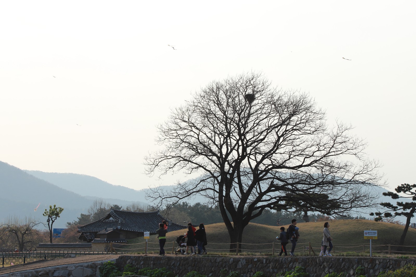 첨성대(2019년 봄)
