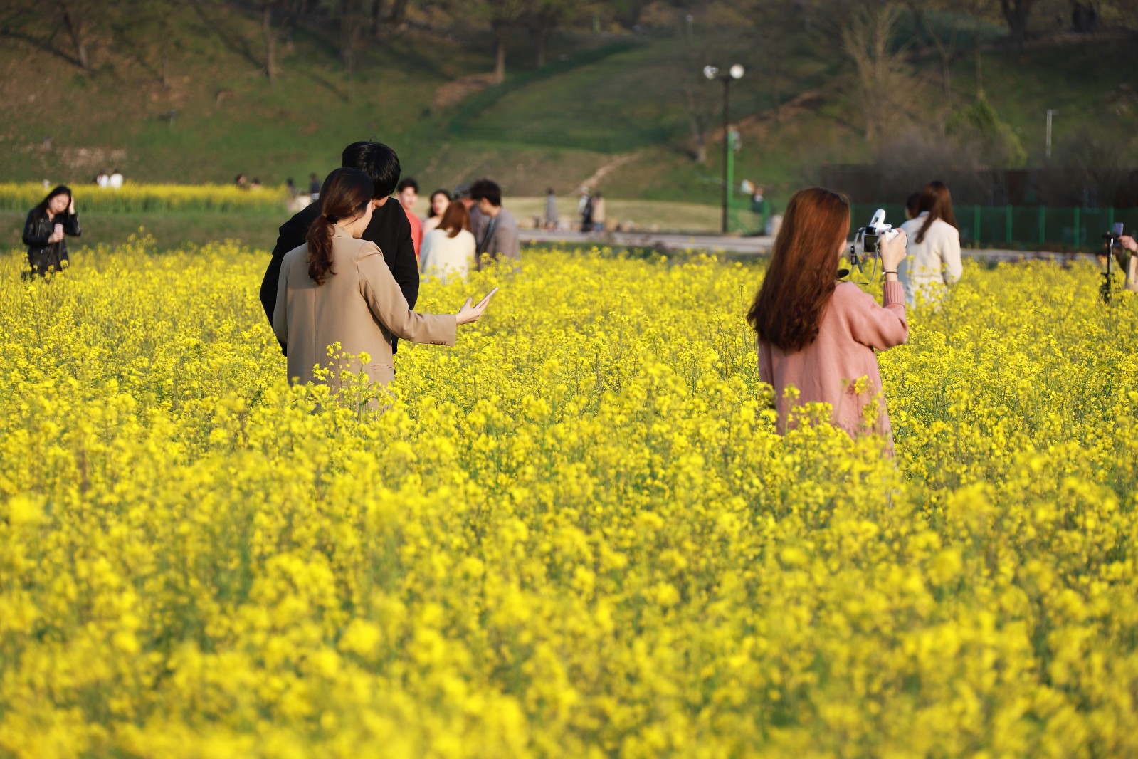 첨성대(2019년 봄)
