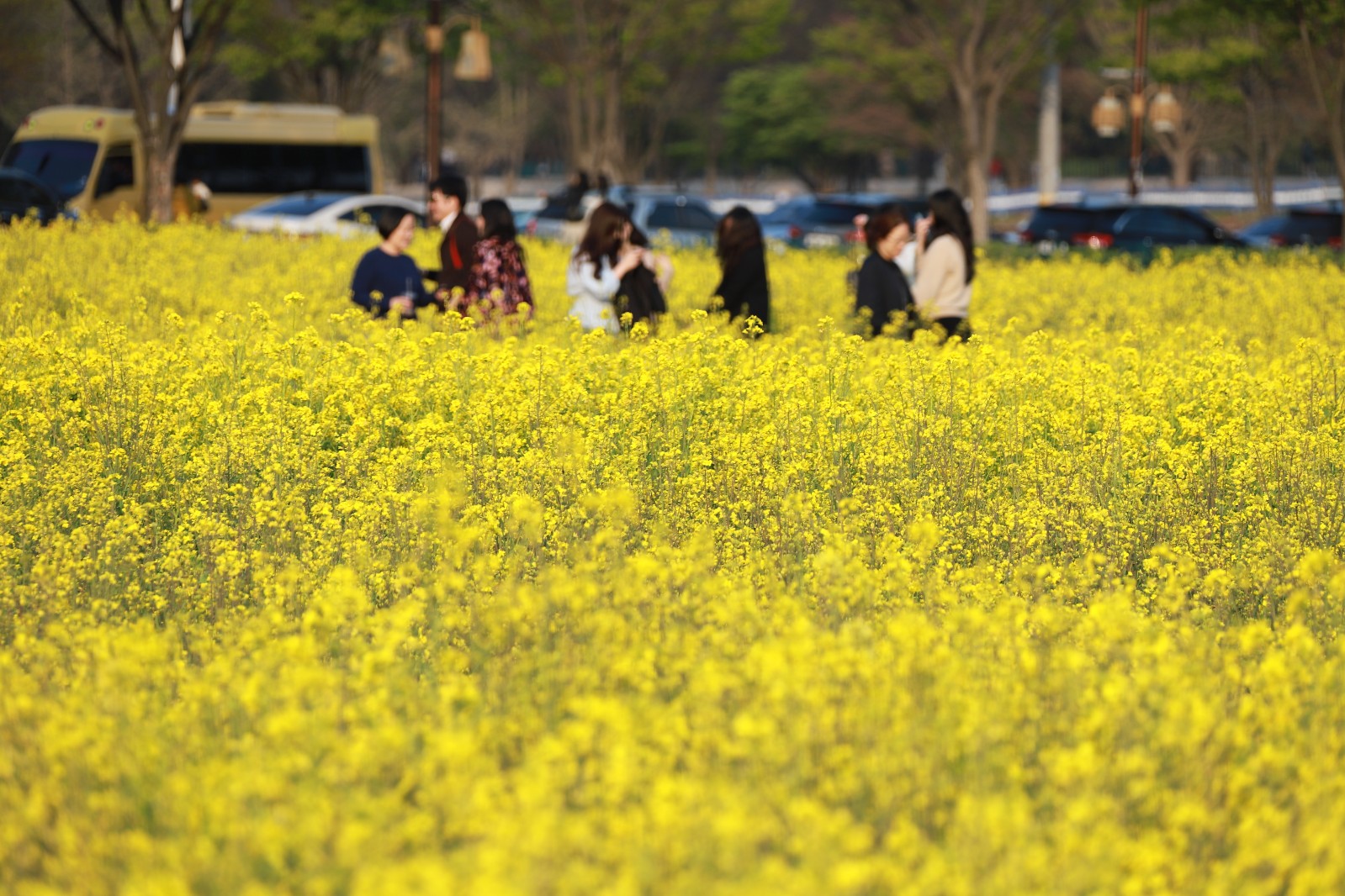 첨성대(2019년 봄)