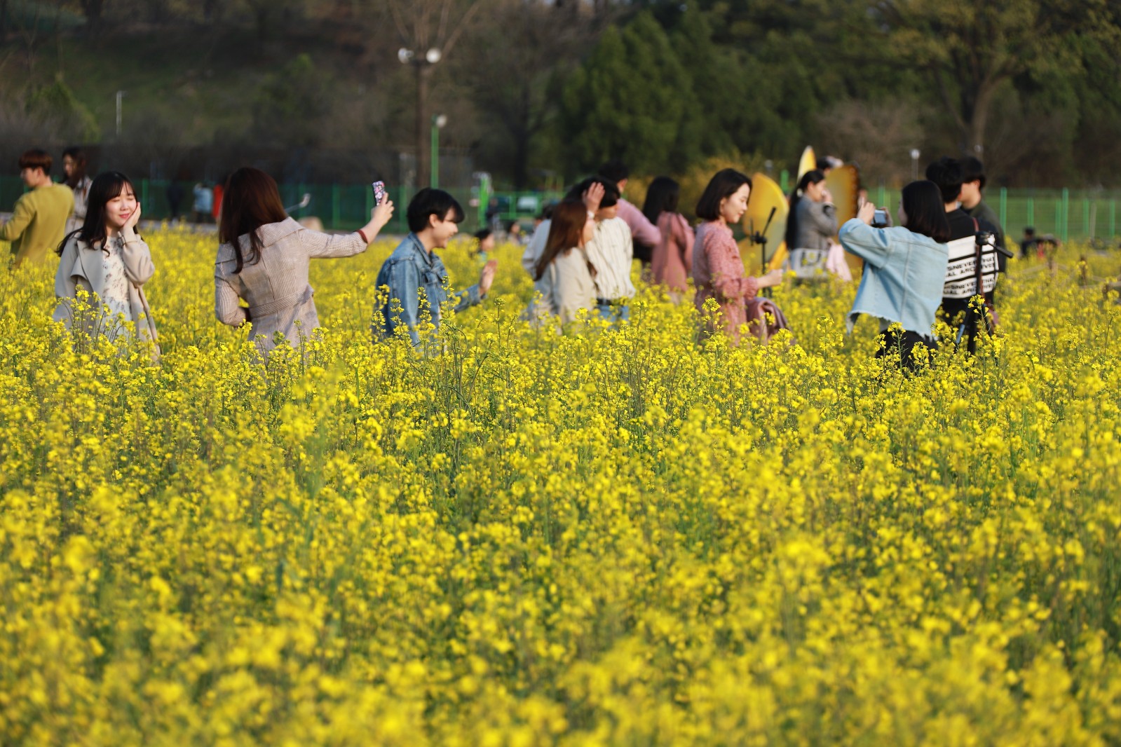 첨성대(2019년 봄)