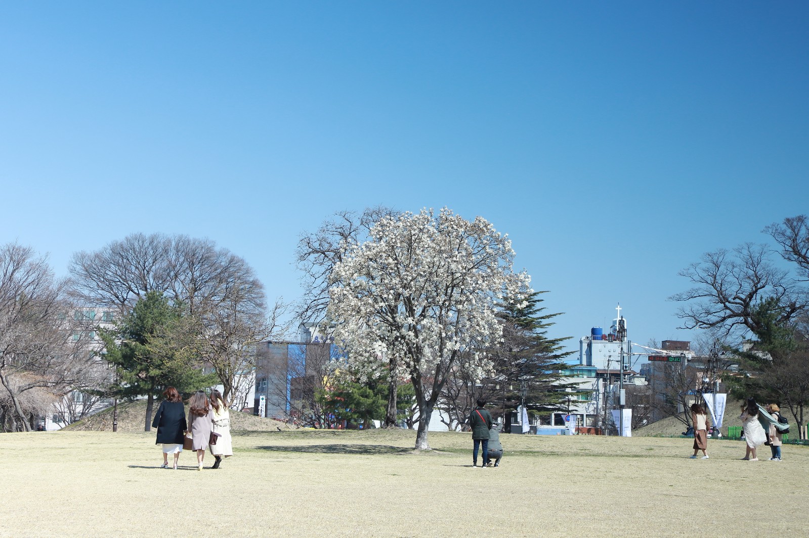 첨성대(2019년 봄)