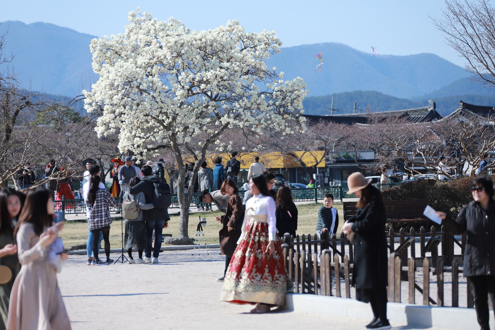 첨성대(2019년 봄)