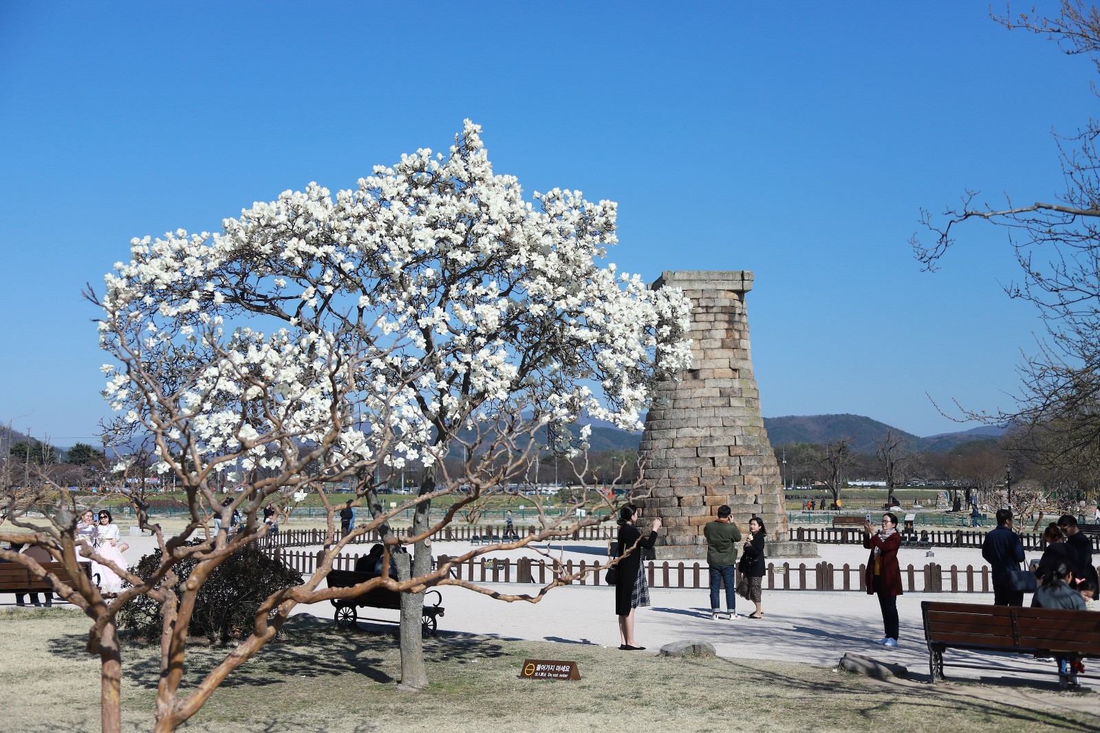 첨성대(2019년 봄)