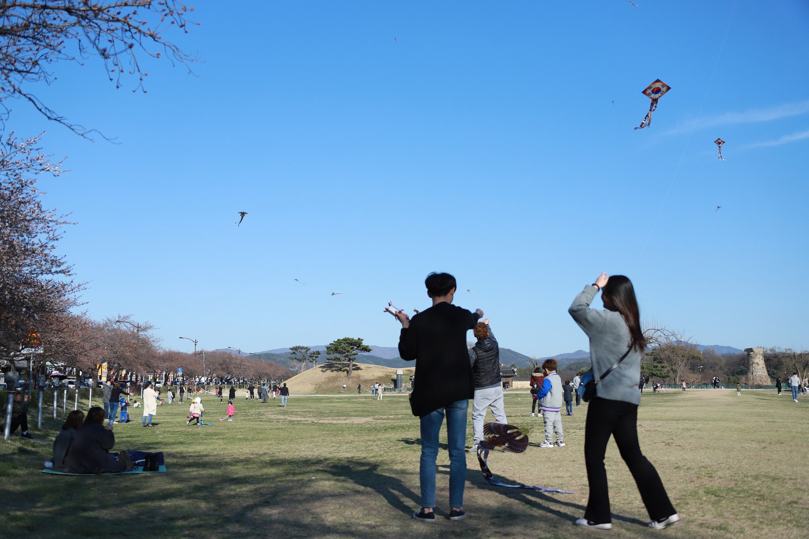 첨성대(2019년 봄)