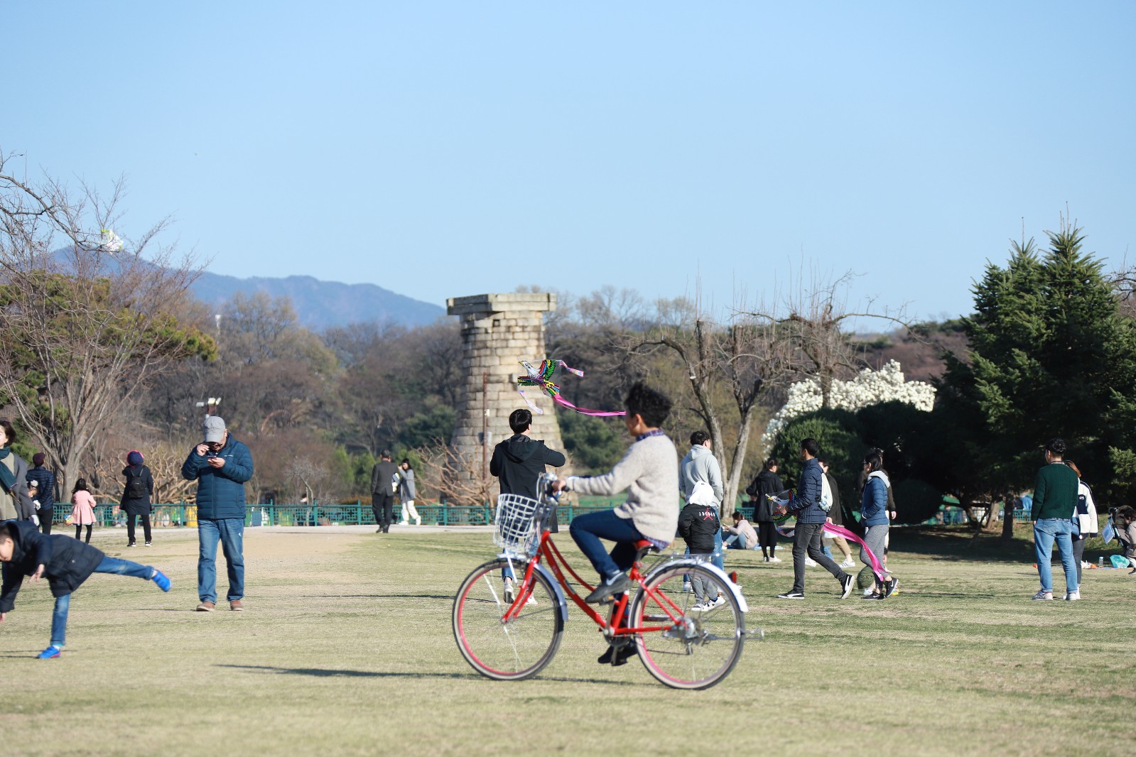 첨성대(2019년 봄)