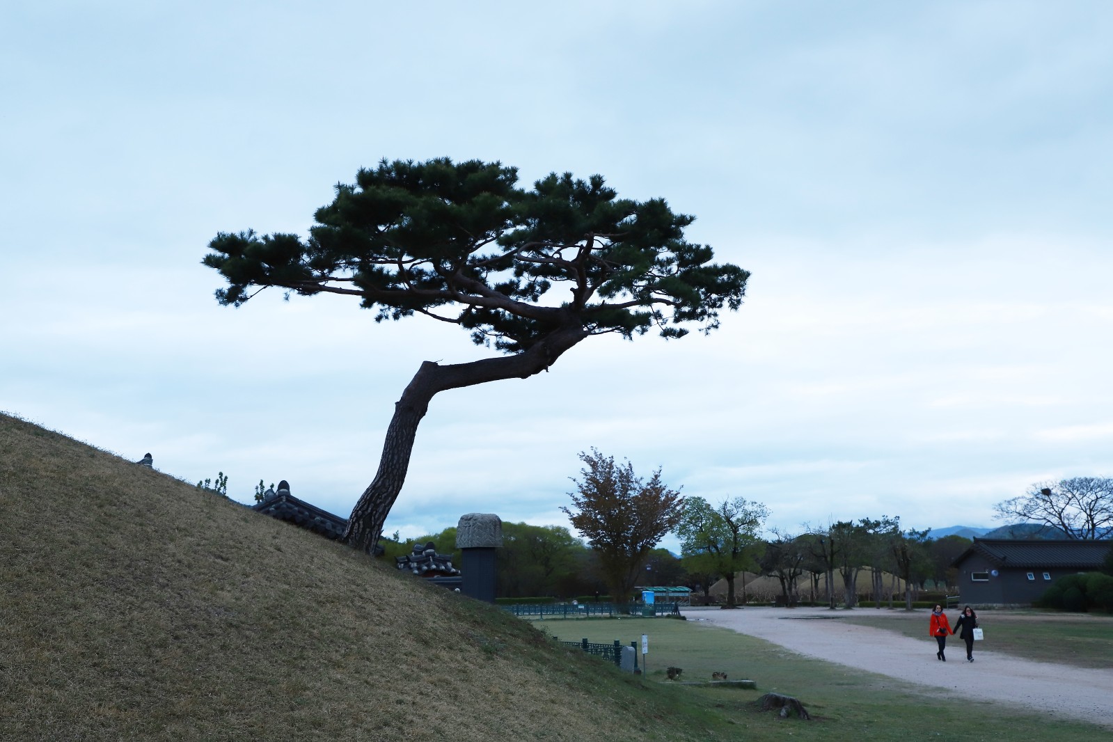 첨성대(2019년 봄)
