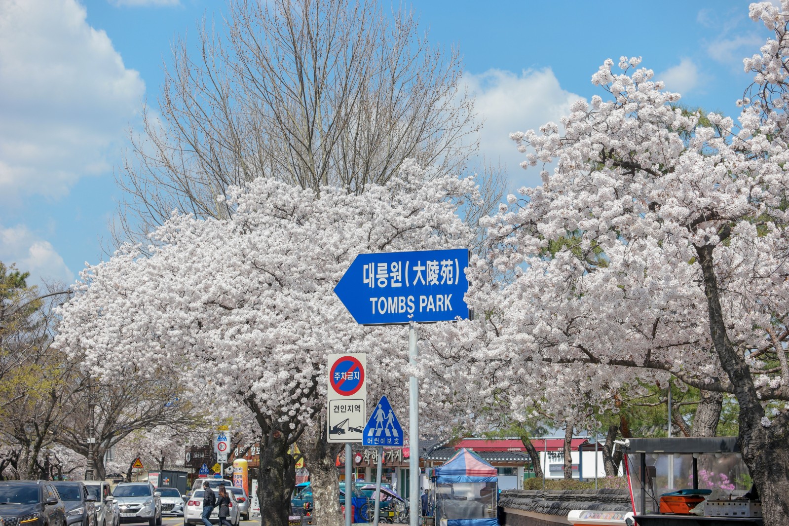 대릉원(2019년 봄)
