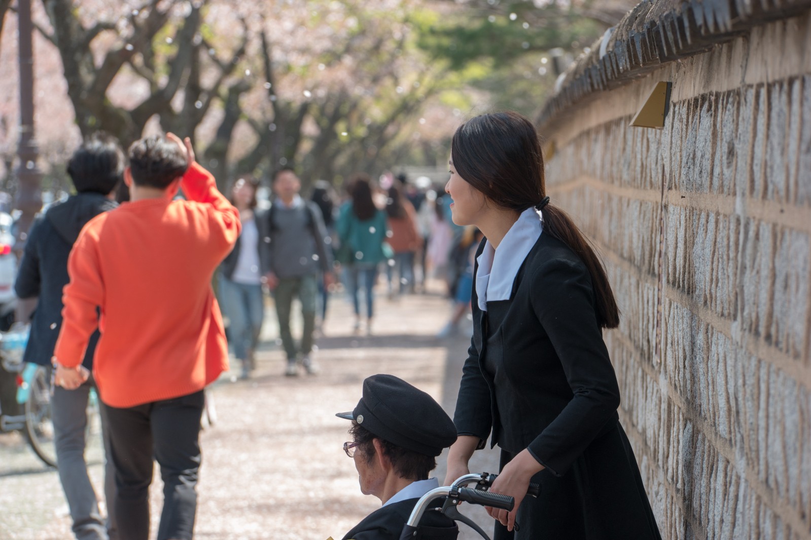 대릉원(2019년 봄)