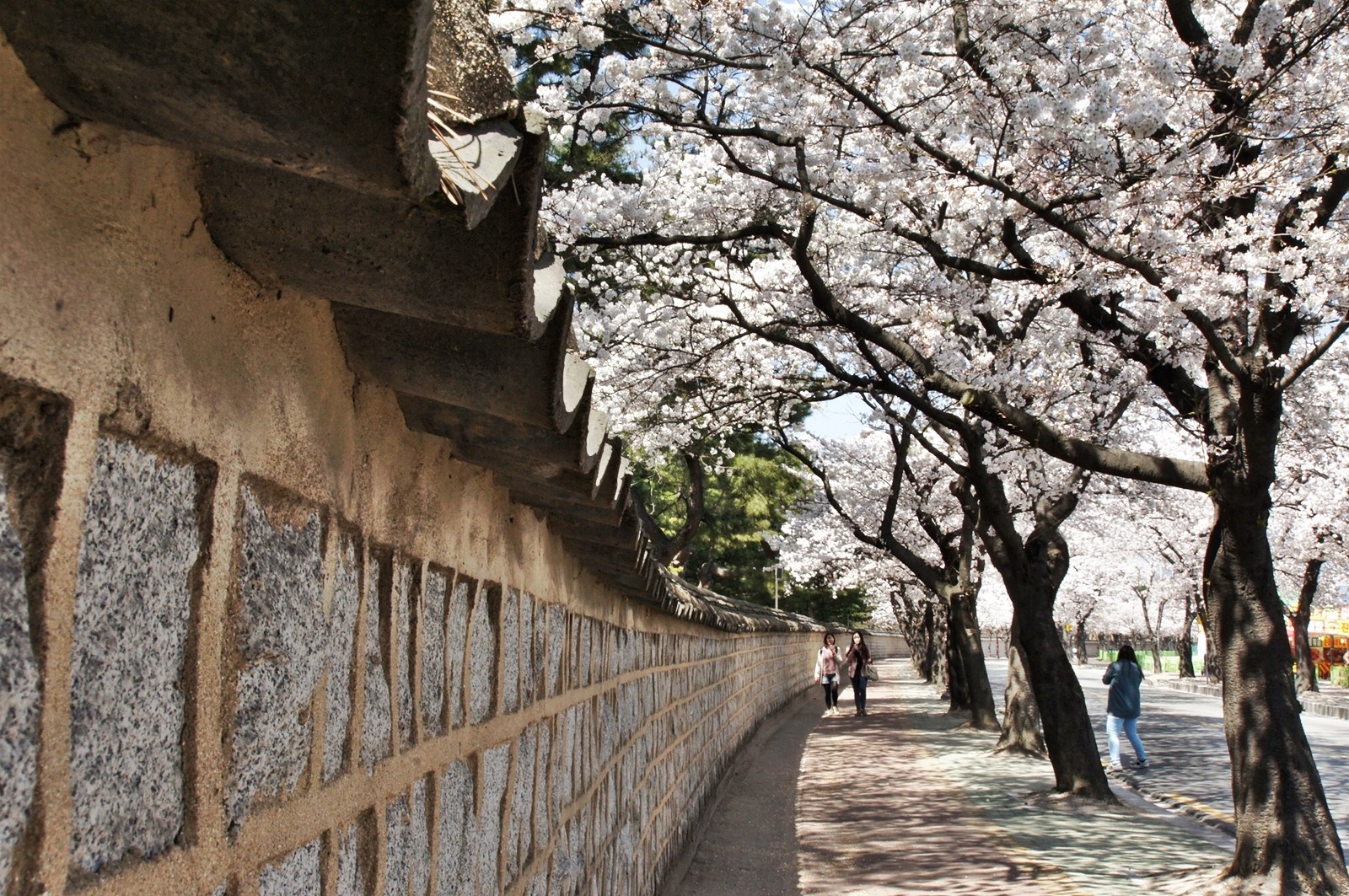 대릉원