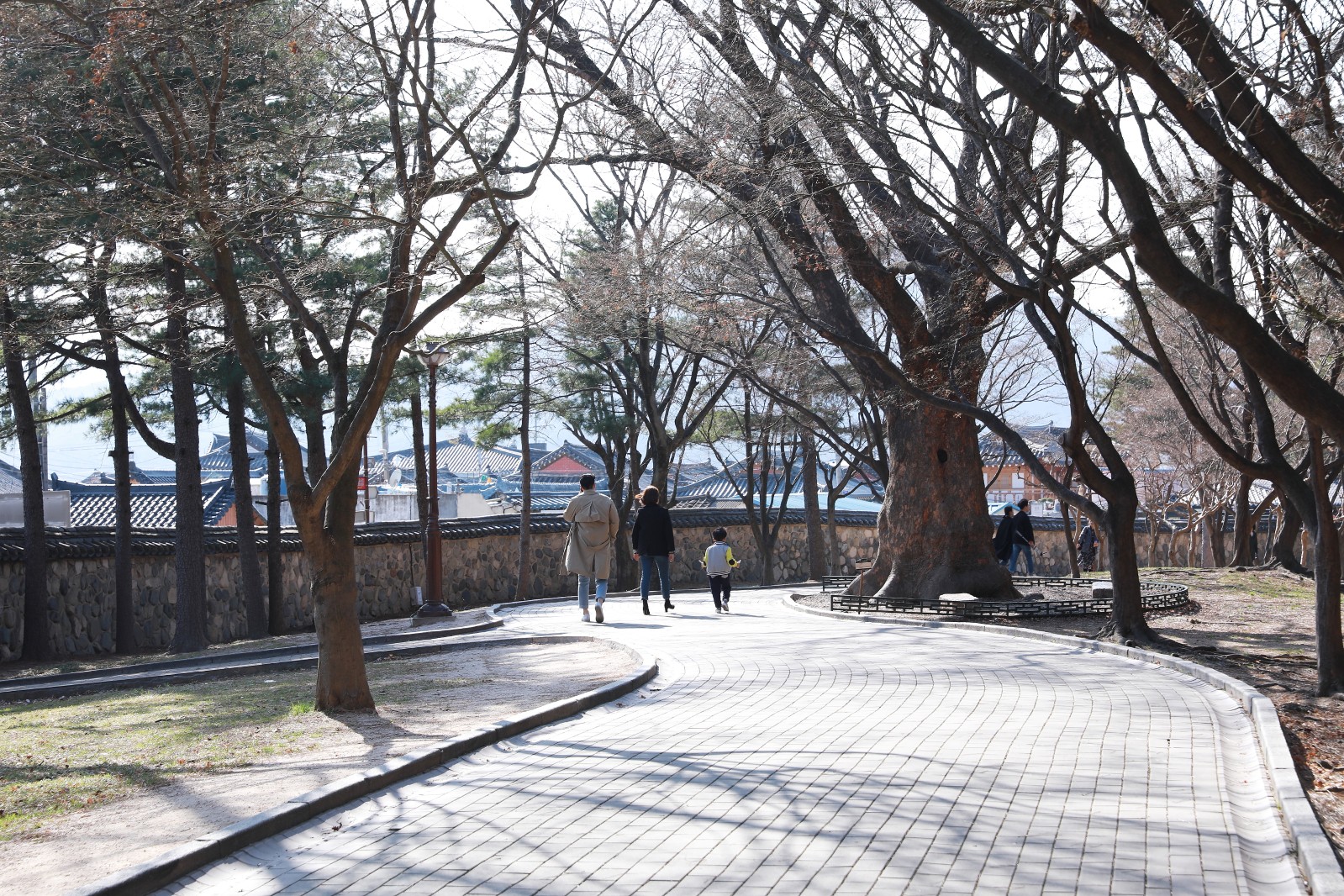 대릉원(2019년 봄)
