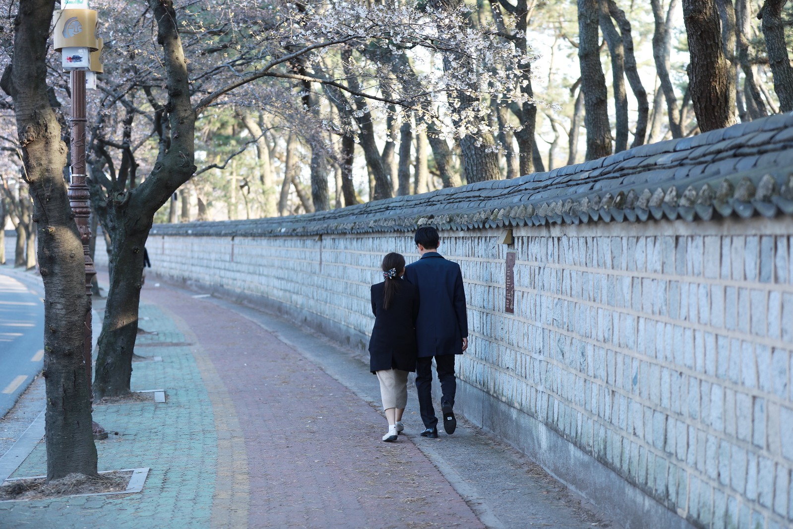 대릉원(2019년 봄)